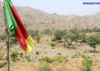 Les départements du Logone et Chari, du Mayo Sava et du Mayo Tsanaga