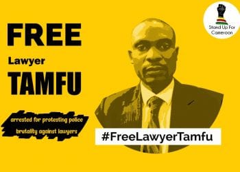 Stand Up for Cameroon advocating for the release of Barrister Tamfu