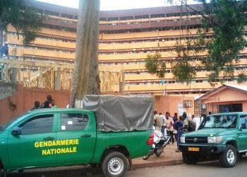 Gendarmerie Naationale Camerounaise