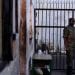 Prison au Cameroun
