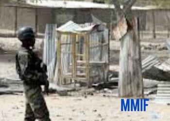 lutte contre Boko Haram à l'estrême Nord Cameroun