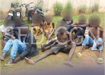 Un redoutable gang de 11 malfrats dont 02 femmes arrêté