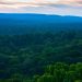 Bassin forestier du Congo