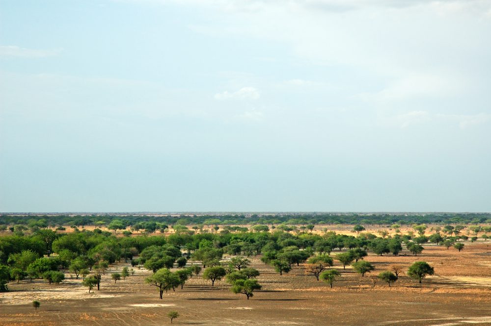 Waza National Park - Cameroon Tourism