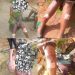 Separatists target women in Kedjom Keku