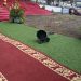 Explosive device Buea national Unity day