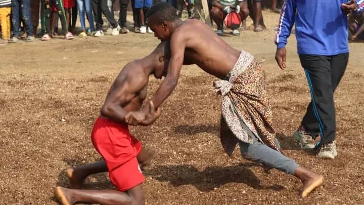 Pala Pala Wrestling Buea