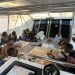 Cameroonian asylum seekers on hunger strike