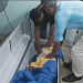 Ecuadorean woman found to be alive at her funeral
