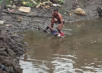 IDP, banga, Marijuana, cannabis Cameroon