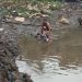 IDP, banga, Marijuana, cannabis Cameroon