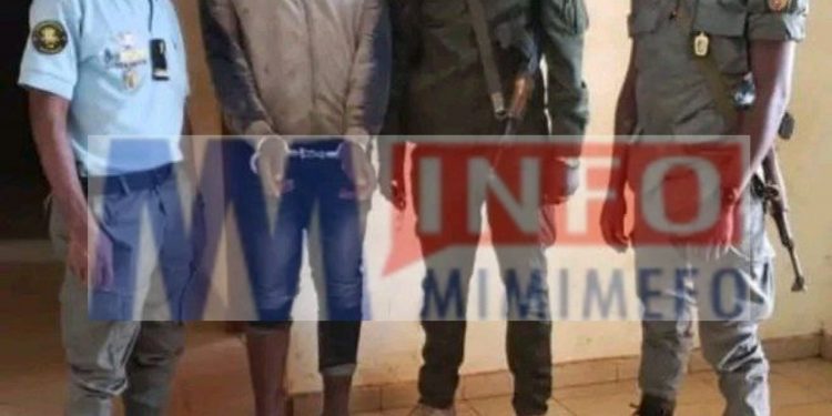 Ngambeche Ouchaou arrested for stabbing Pepouna Abdel