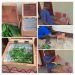 Young Inventor in Cameroon, Wirmbon Cedric Ndzeweiyi