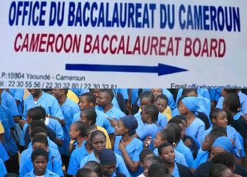 Cameroon Baccalaureat Board Releases 2023 Results, With An Average Pass Mark Of 8.50/20.