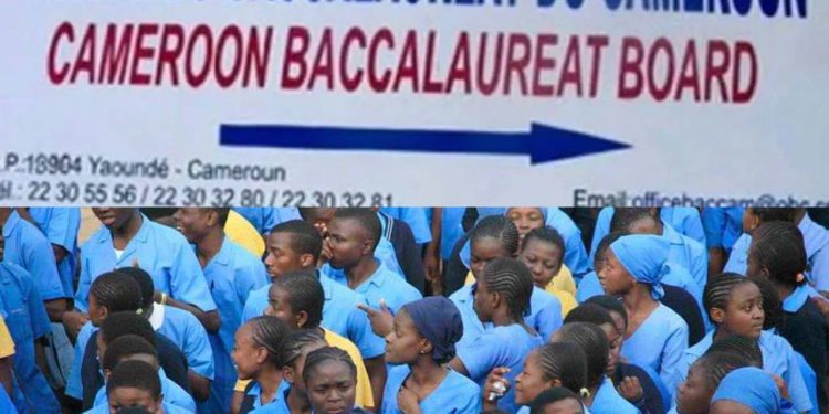 Cameroon Baccalaureat Board Releases 2023 Results, With An Average Pass Mark Of 8.50/20.