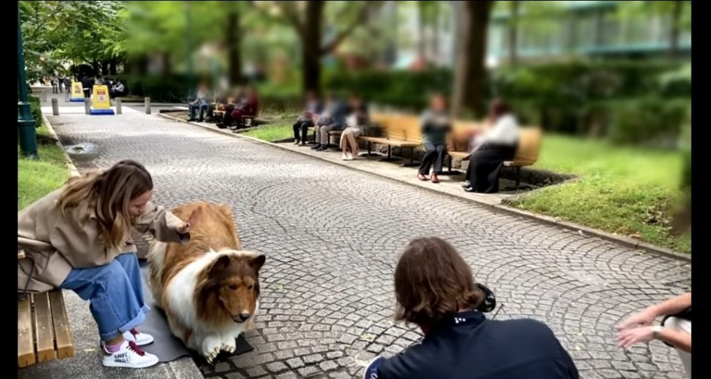 Japenese man turns to Dog named Toco