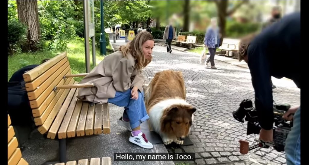 Japenese Dog Toco
