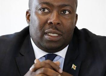 Saviour Kasukuwere, a former Zimbabwean government minister
