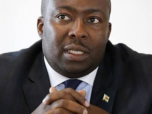 Saviour Kasukuwere, a former Zimbabwean government minister