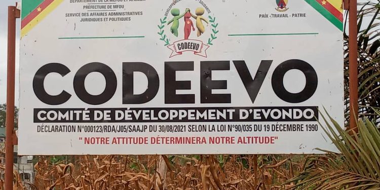 Une dizaine de morts imaginaires dans quartier Ewondo a Yaoundé, Fake news