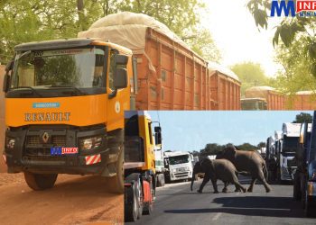 Laïnde accident as Sodecoton Truck avoids Elephants on the road