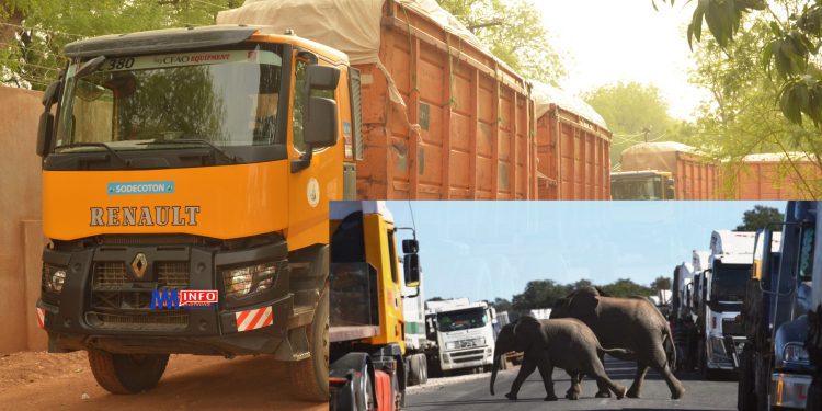 Laïnde accident as Sodecoton Truck avoids Elephants on the road