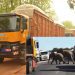 Laïnde accident as Sodecoton Truck avoids Elephants on the road