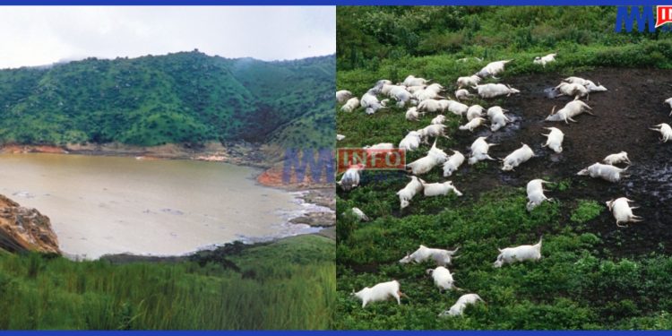 Lake Nyos disaster killed over 1700 people and 3500 livestock
