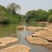 abandoned baby found dead in Cameroon stream