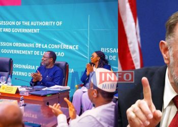 Tibor Nagy casts doubts on ECOWAS' military ability