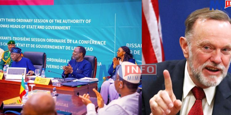 Tibor Nagy casts doubts on ECOWAS' military ability