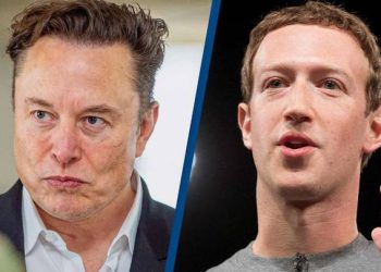 Musk calls Zuckerburg a 'chicken' for denying cage fight