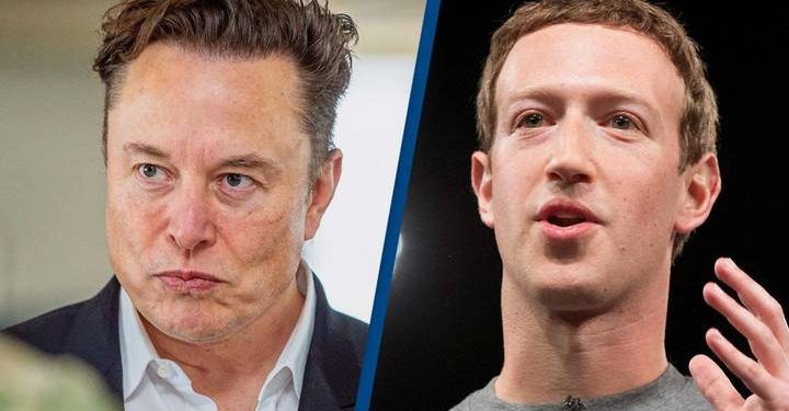 Musk calls Zuckerburg a 'chicken' for denying cage fight