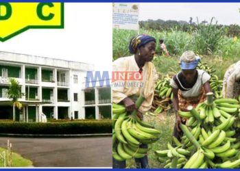 CDC Workers demanding unpaid salaries amid school resumption pressures