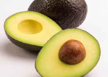 Avocado wine production company launched in Cameroon.