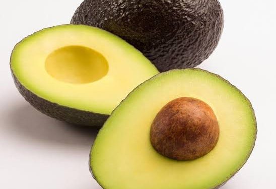 Avocado wine production company launched in Cameroon.