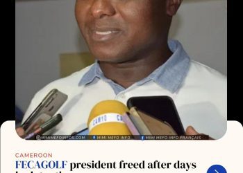 Cameroon FECAGOLF president, Louis Deschamps Lothin Elessa, released with conditions