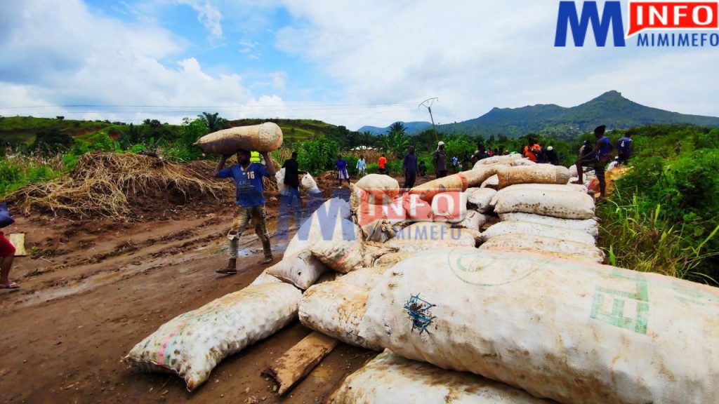 Ndop - Bamenda Road - North West Region, Cameroon