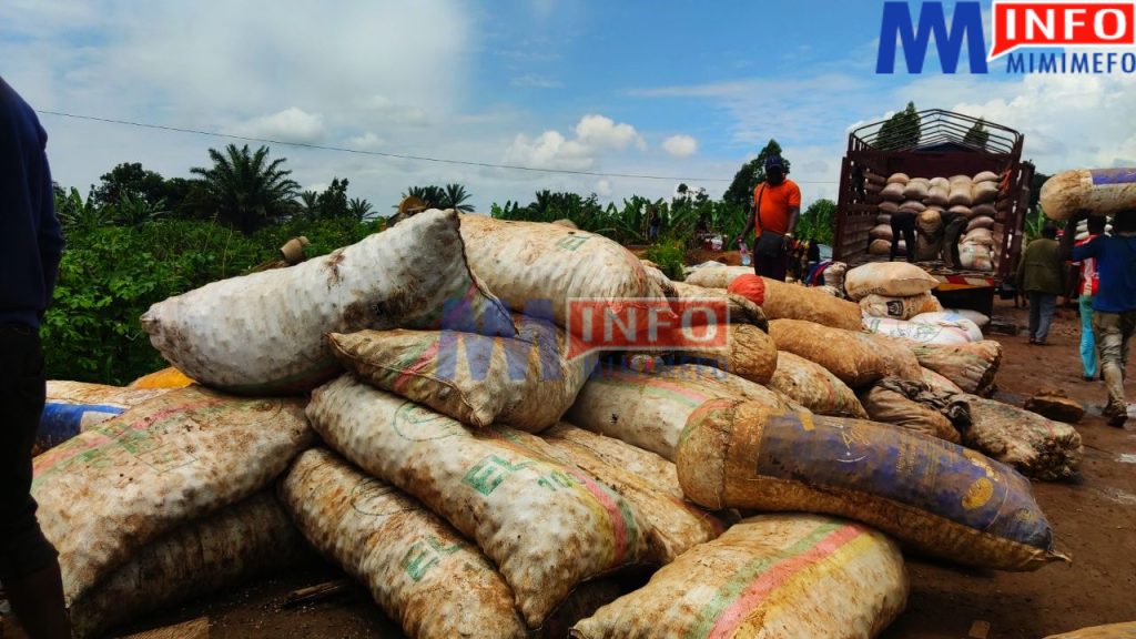 Ndop - Bamenda Road - North West Region, Cameroon