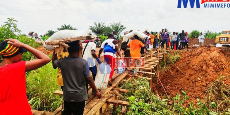Ndop - Bamenda Road - North West Region, Cameroon 9