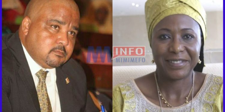 Joshua Osih made interim chairman, Chantal Kambiwa fired from SDF