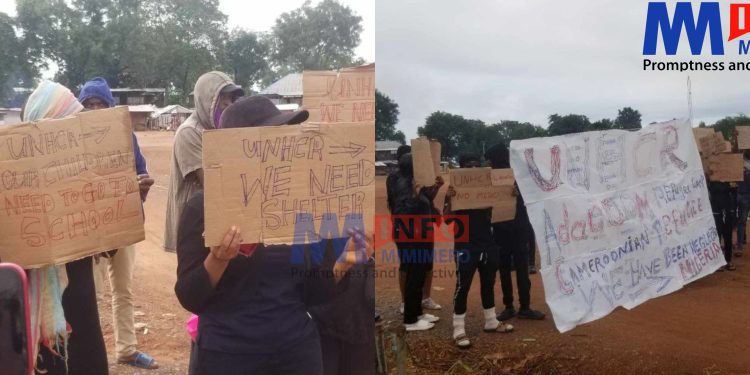 Cameroonian refugees in Nigeria protest poor living conditions