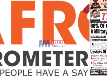 What the Afrobarometer survey on Cameroonians perception of coup in the country