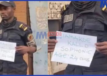 Another fake police officer arrested in Yaounde, Cameroon