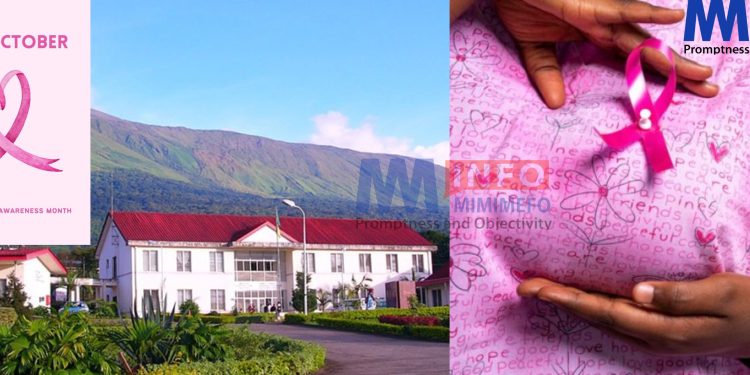 Breast Cancer Awareness Month - Pink October in Buea Regional Hospital
