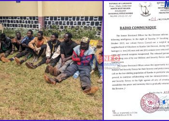 Cameroon soldiers free captives from separatists