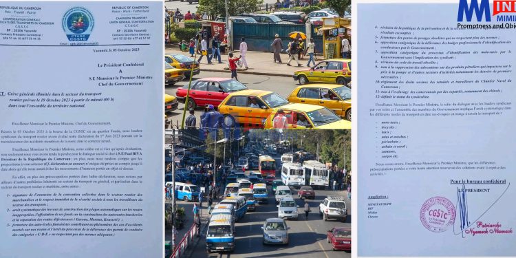 Public transporters in Cameroon have announced a strike action if certain demans are not met