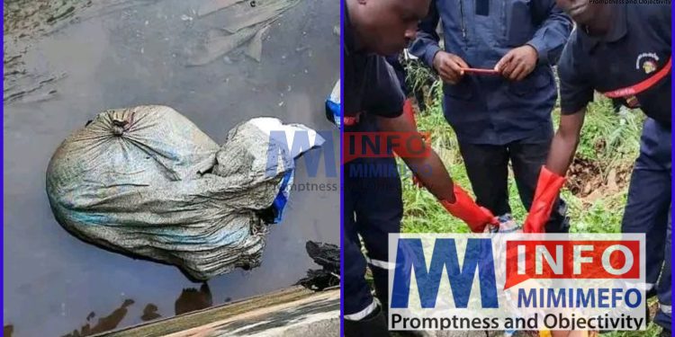 Police in Yaounde have opened investigations into the case of a woman whose body was found in a bag