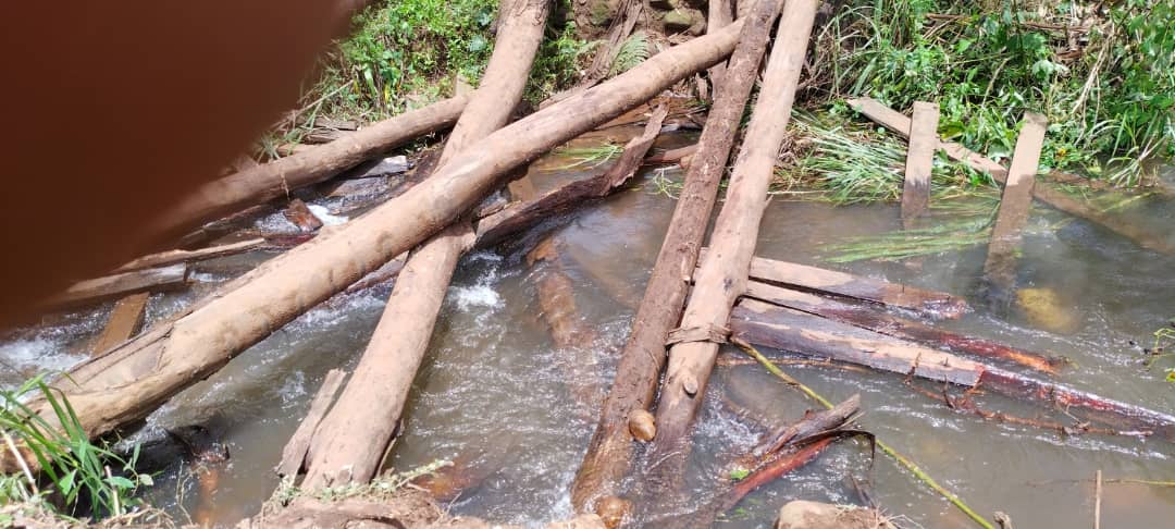 Mass destruction in Alegue, Nkwen, North West Region of Cameroon.
