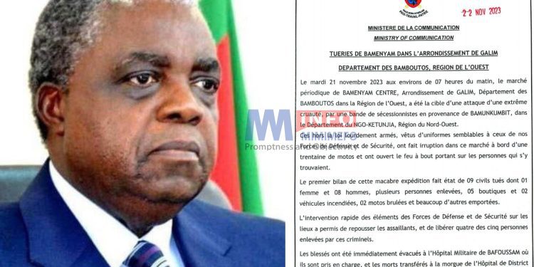Cameroon government condemns attacks in Bamenyam